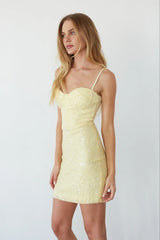 Ellison Sequin Bodycon Mini Dress